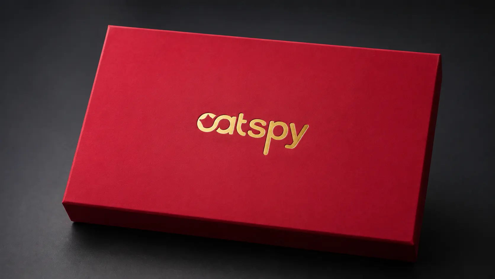 Catspy premium ürün kutusu